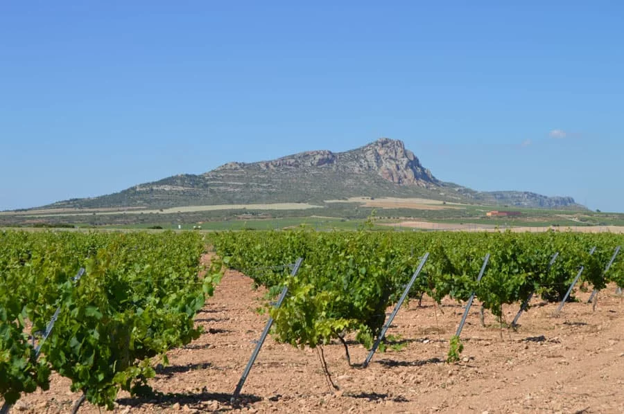 Esencia Rupestre Garnacha Tintorera